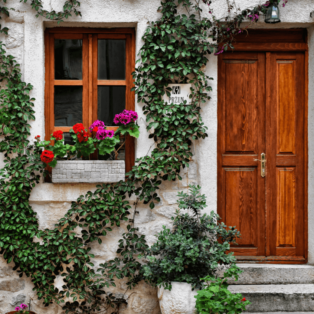 Porte en bois (1)