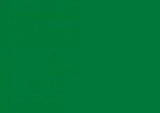 Vert menthe RAL 6029