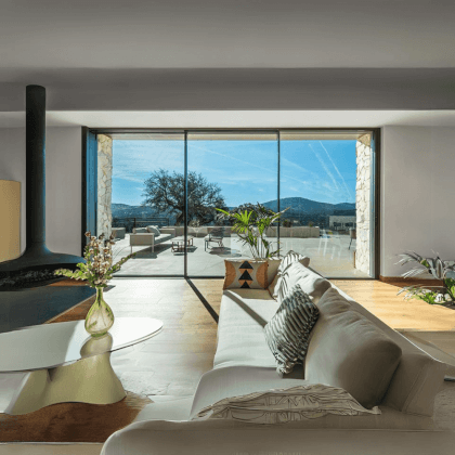 Corvision photo 2