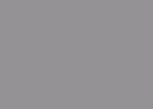 Gris platine mat RAL 7036